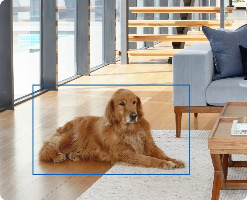 image de préchargement